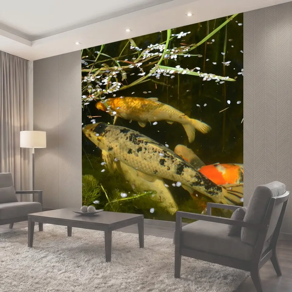 Фотообои Koi, карп кои, декоративная рыба