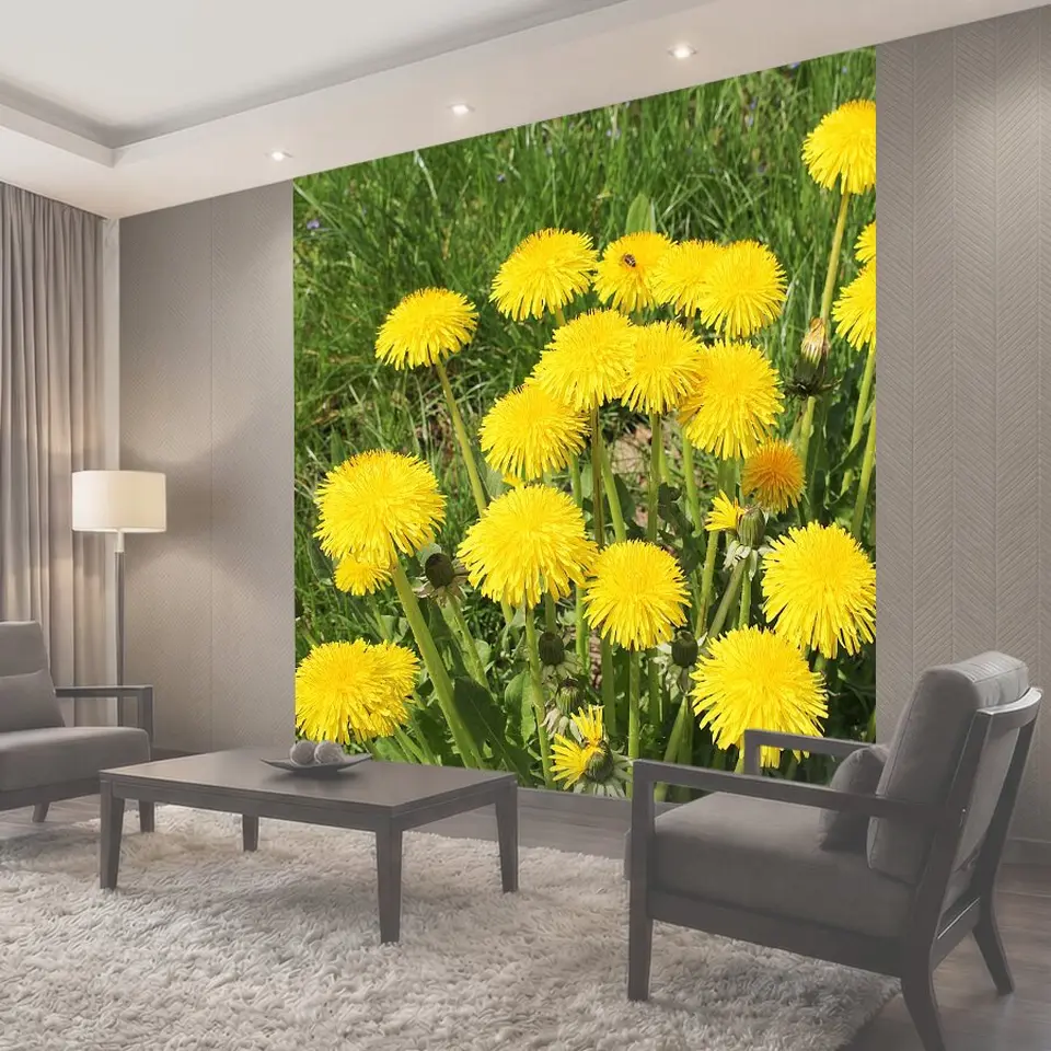 Фотообои Одуванчик, полевой цветок, остроконечный цветок
