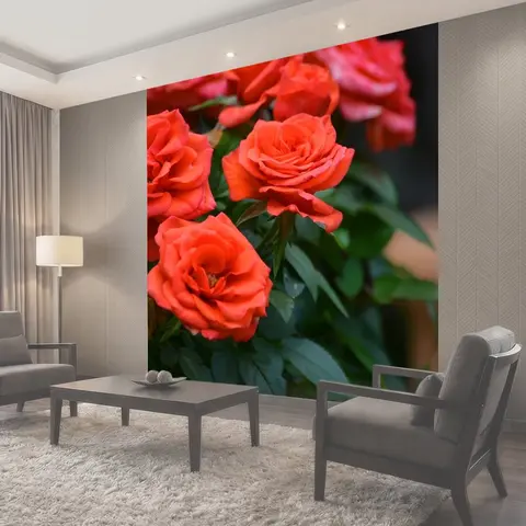 Фотообои Цветы, розы, сад