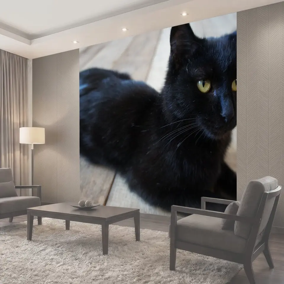 Фотообои Кошка черная, коты, кошки