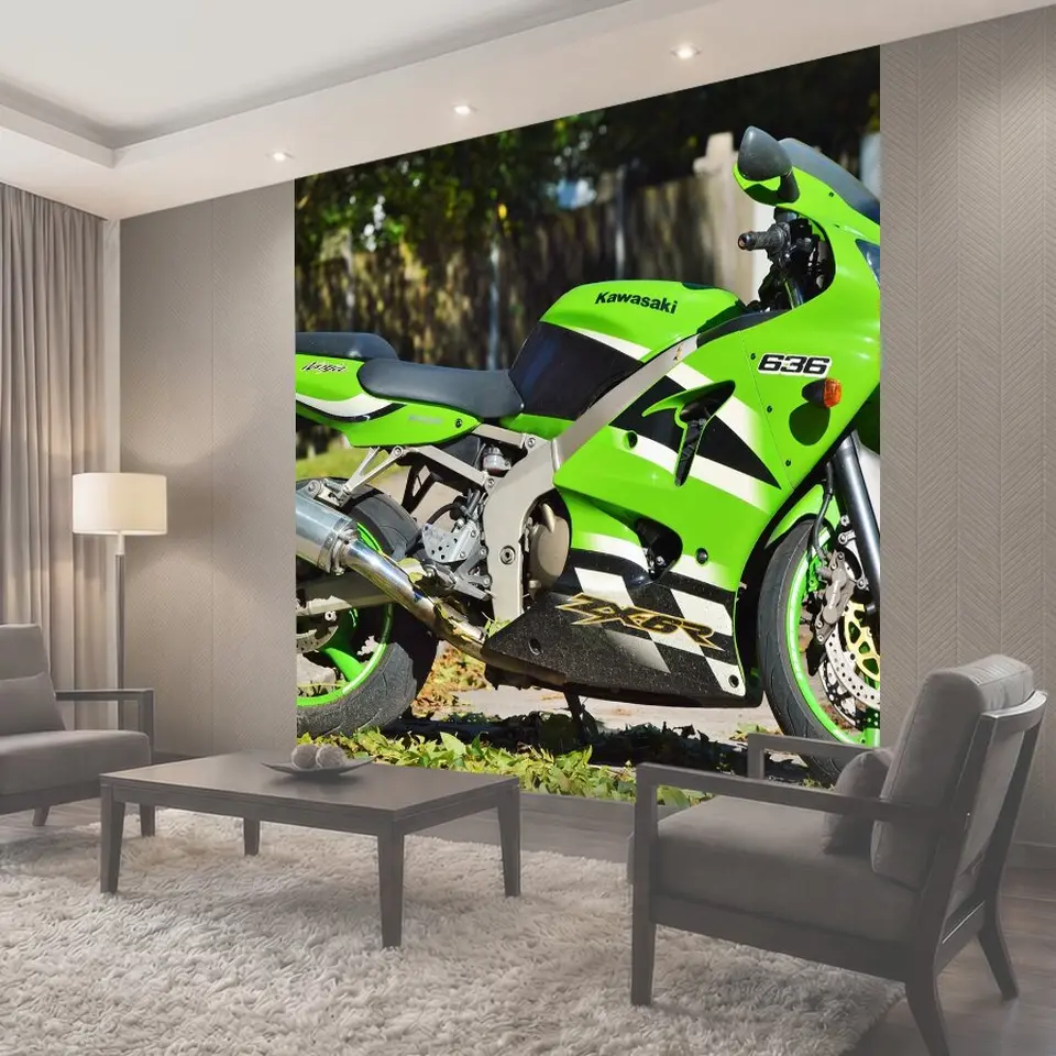 Фотообои Мотоцикл, кавасаки, zx6r