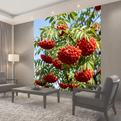 Фотообои Гроздья рябины на ветвях