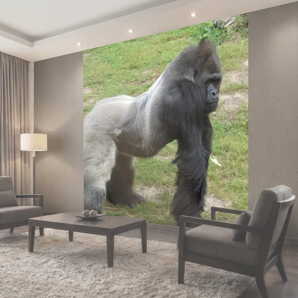 Фотообои Сильвербэк Gorilla позирует Горилла создает в нем корпус в зоопарке