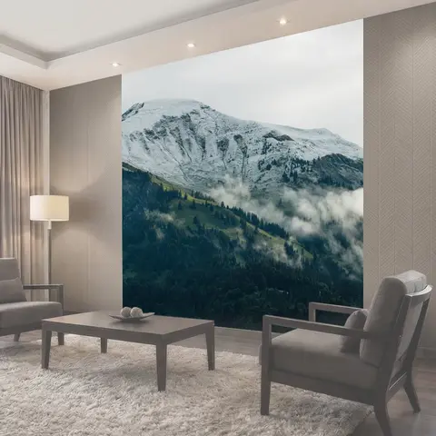 Фотообои Горы, деревья, туман