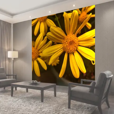 Фотообои Желтые весенние ромашки