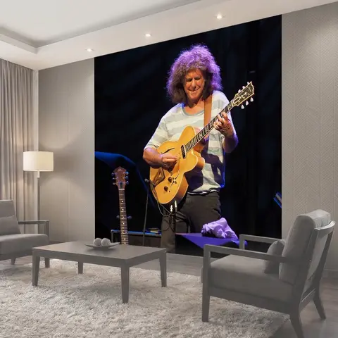 Фотообои Pat metheny, джаз, fusion