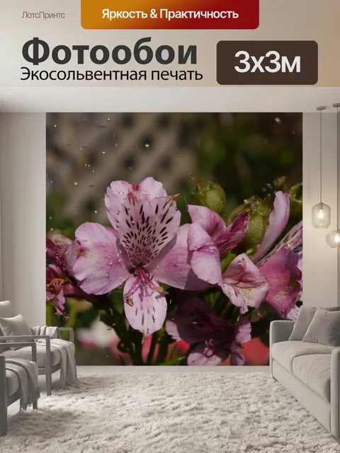 Фотообои Альстромерия, вода, цветущий