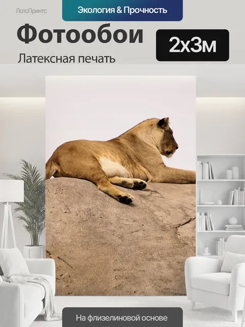 200 × 300 см · Латексная печать