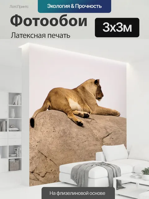 300 × 300 см · Латексная печать