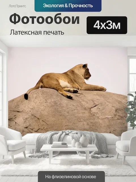 400 × 300 см · Латексная печать