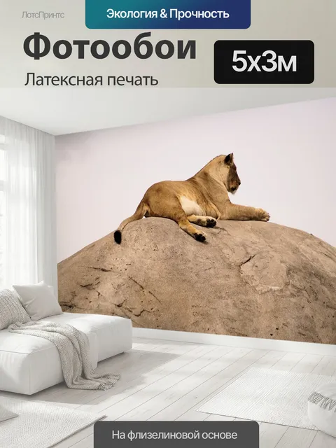 500 × 300 см · Латексная печать