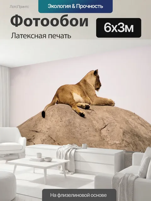 600 × 300 см · Латексная печать