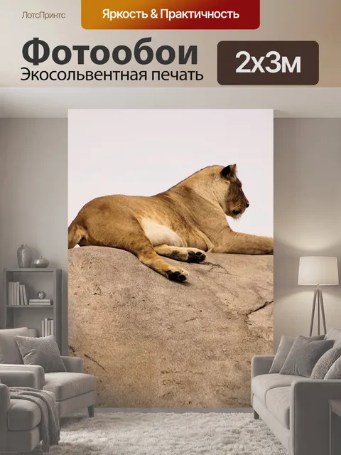 200 × 300 см · Экосольвентная печать