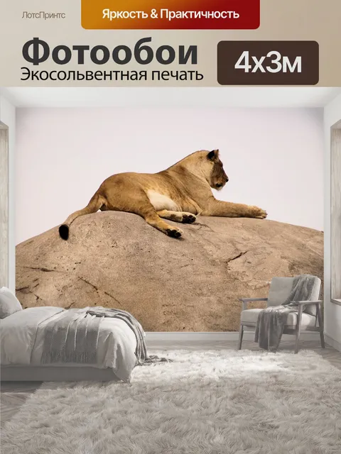400 × 300 см · Экосольвентная печать