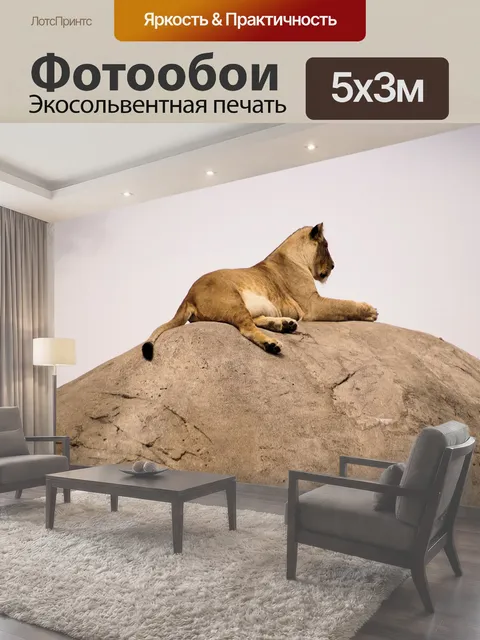 500 × 300 см · Экосольвентная печать