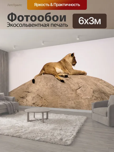 600 × 300 см · Экосольвентная печать