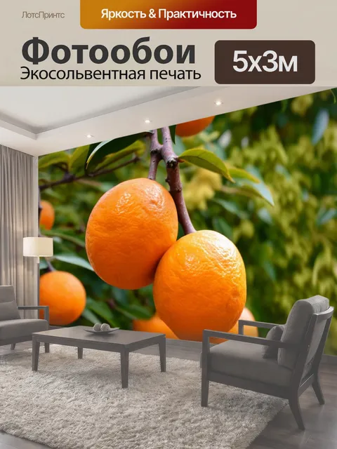 Фотообои Оранжевый цвет, представляющие богатство оранжевых фруктов, свисающих с ветвей