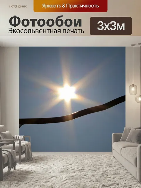 Фотообои Солнце, солнечные лучи, капли