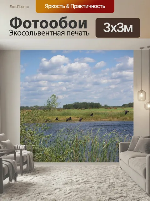 Фотообои В полете Гуси в полете степной пейзаж гусей летать прерии Манитоба страны сельского хозяйства пейзаж