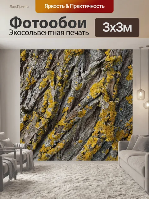 Фотообои Дерево, лишайник, древесина