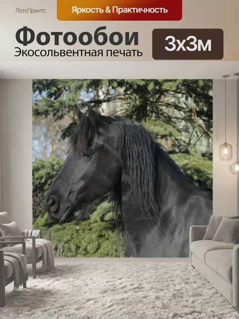 Фотообои Фриз, лошадь, фризская лошадь