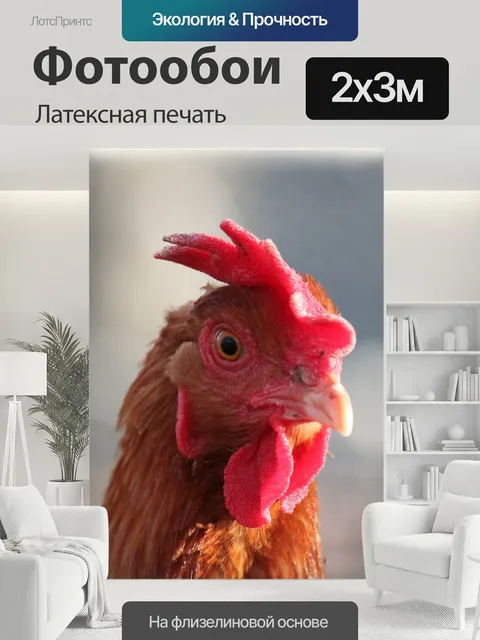 200 × 300 см · Латексная печать