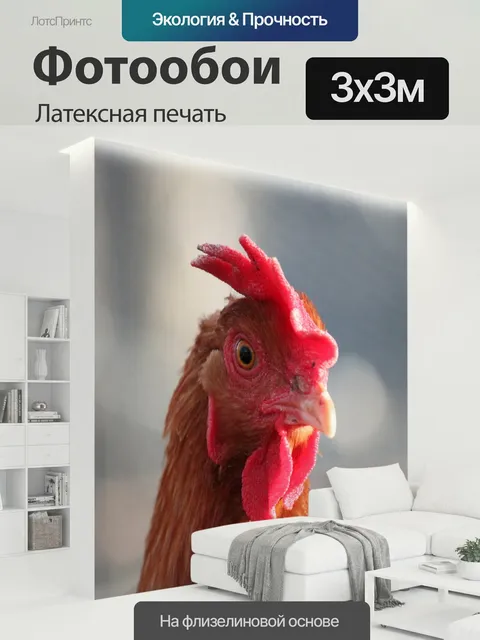 300 × 300 см · Латексная печать