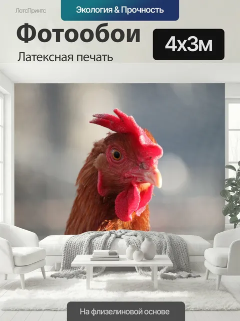 400 × 300 см · Латексная печать