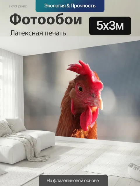500 × 300 см · Латексная печать