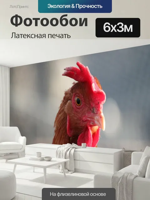 600 × 300 см · Латексная печать