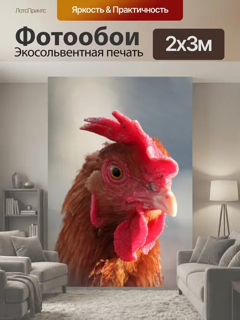 200 × 300 см · Экосольвентная печать