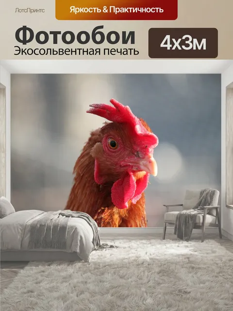 400 × 300 см · Экосольвентная печать