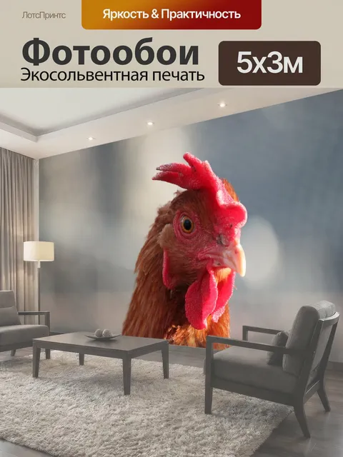 500 × 300 см · Экосольвентная печать