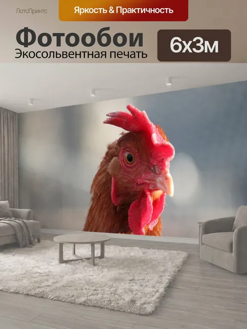 600 × 300 см · Экосольвентная печать