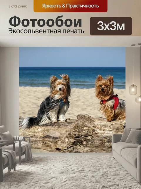 Фотообои Йоркширский терьер, море, пляж