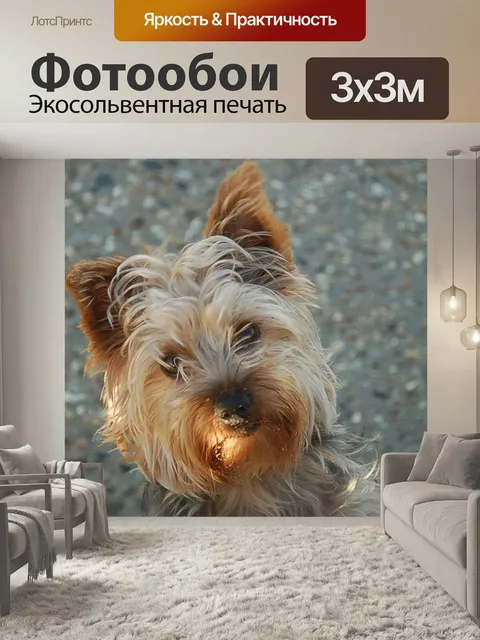 Фотообои Йоркширский терьер, терьер, собака
