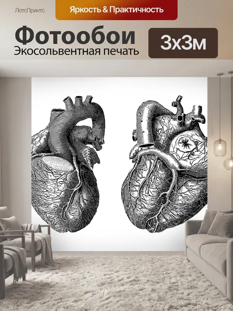Фотообои Иллюстрация медицины органов сердца Иллюстрация медицинского представления органов сердца вырезана на прозрач…