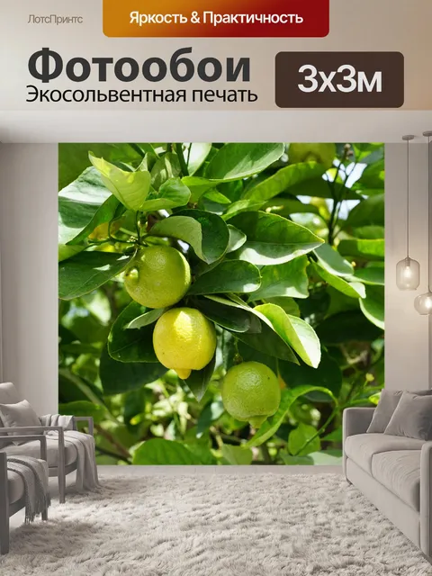 Фотообои Лимон, дерево, зеленый
