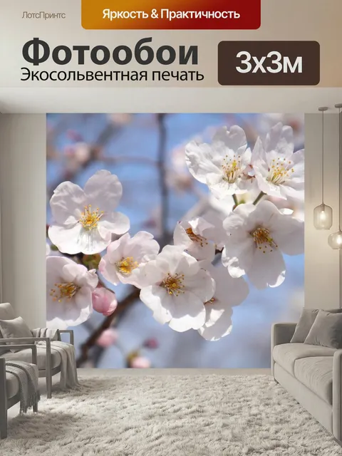 Фотообои Цветение вишни, розовый, лепестки