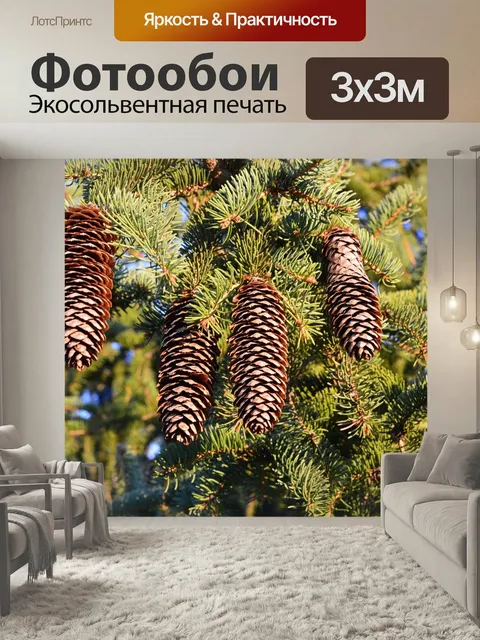 Фотообои Сосна, шишки, деревья