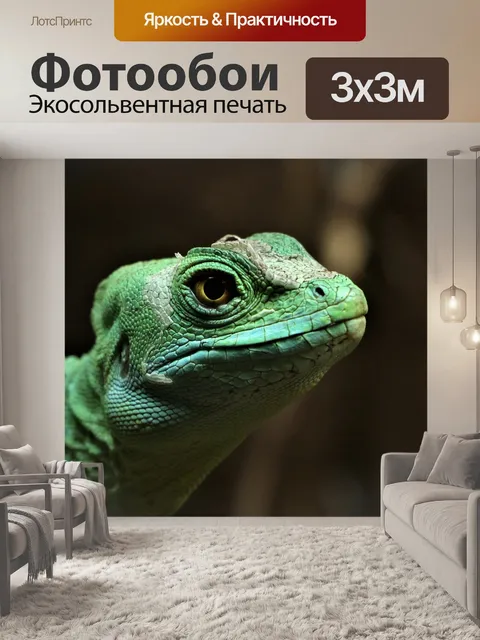Фотообои Ящерица, рептилия, зеленый