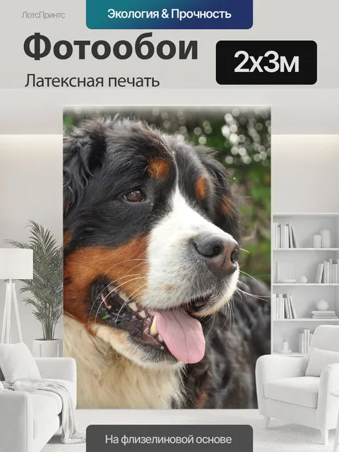 200 × 300 см · Латексная печать