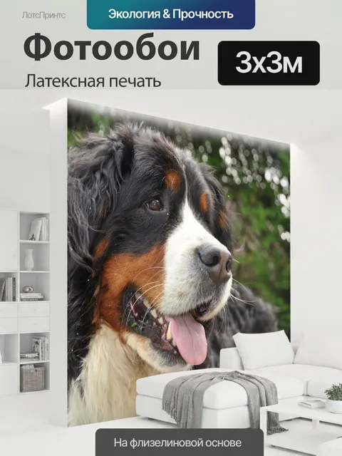 300 × 300 см · Латексная печать