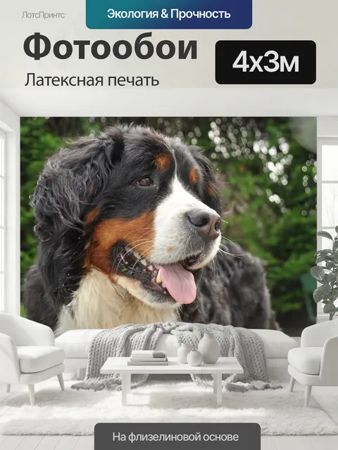 400 × 300 см · Латексная печать