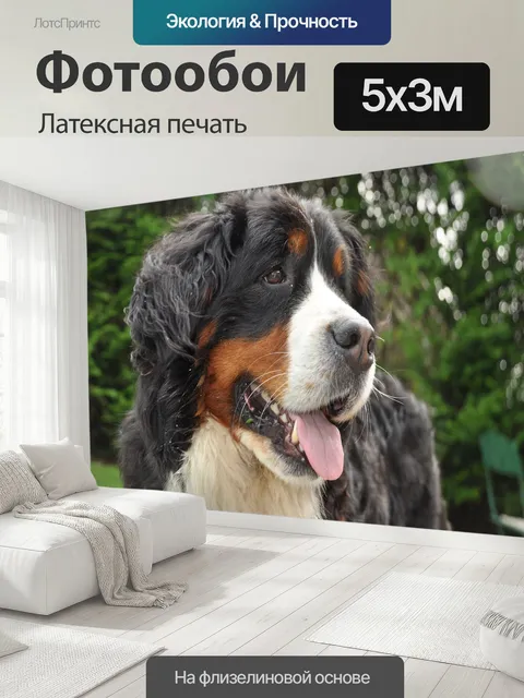 500 × 300 см · Латексная печать