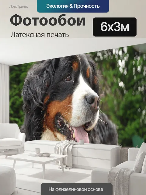 600 × 300 см · Латексная печать