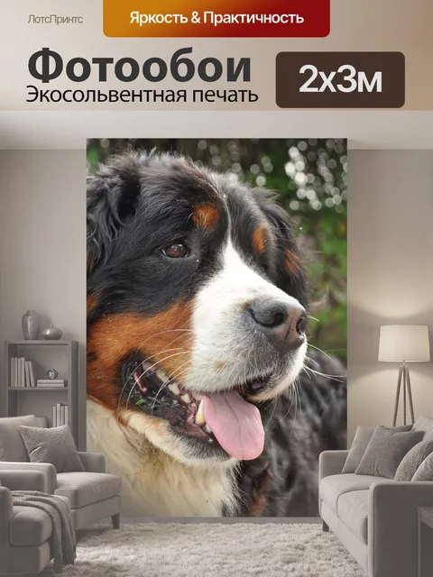 200 × 300 см · Экосольвентная печать