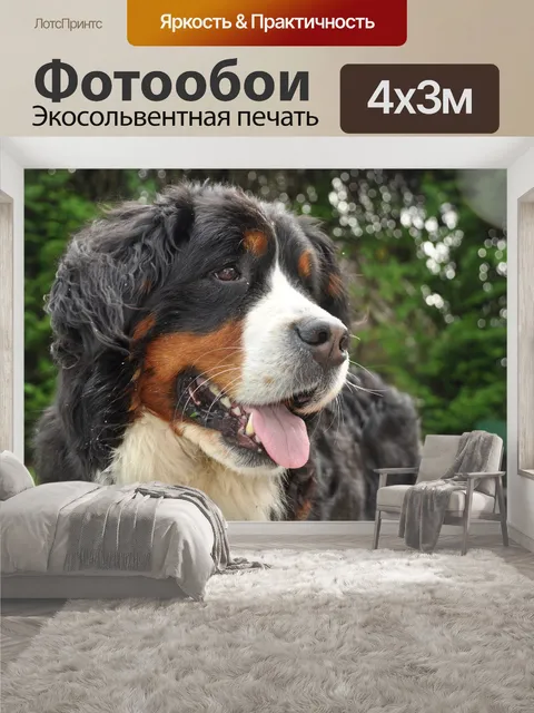 400 × 300 см · Экосольвентная печать