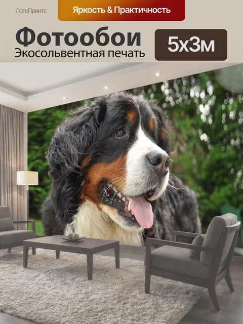 500 × 300 см · Экосольвентная печать