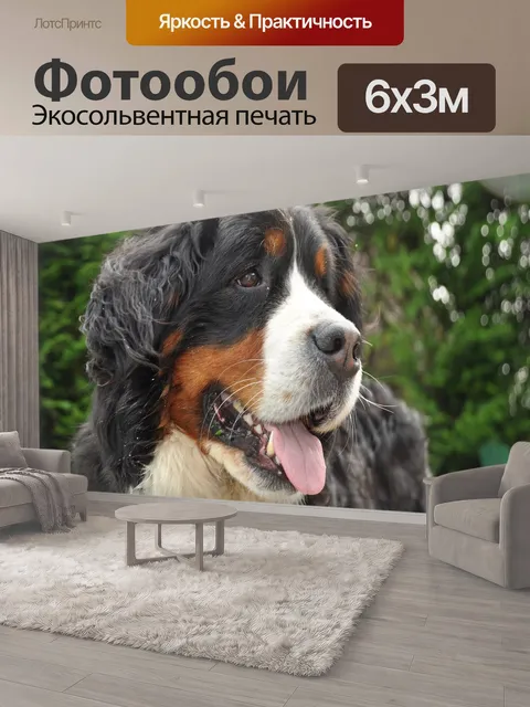 600 × 300 см · Экосольвентная печать